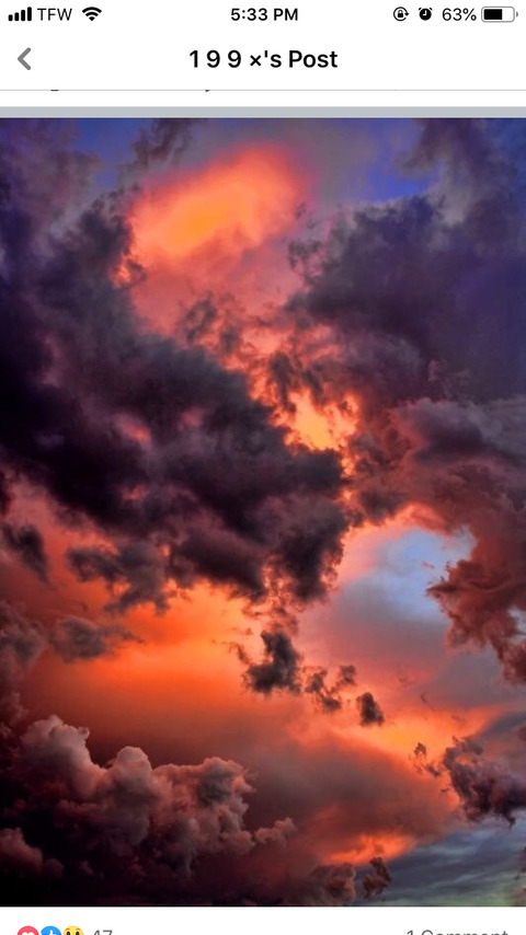 Image d'en-tête OnlyFans shyladream