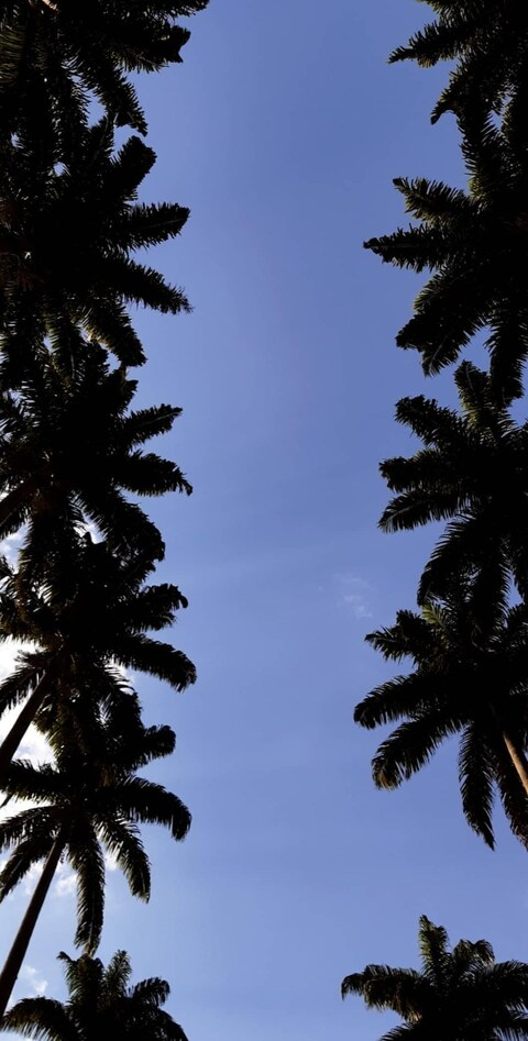 OnlyFans başlık resmi skatist23cm