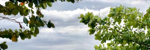 OnlyFansのヘッダー画像 slap_tastik