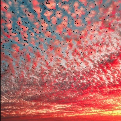 Image d'en-tête OnlyFans snixxxxx