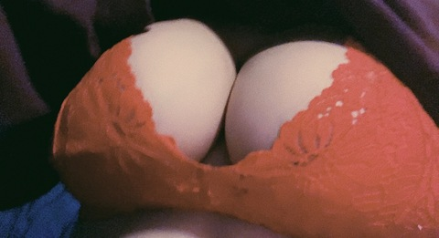 sofiaxos의 OnlyFans 해더 사진