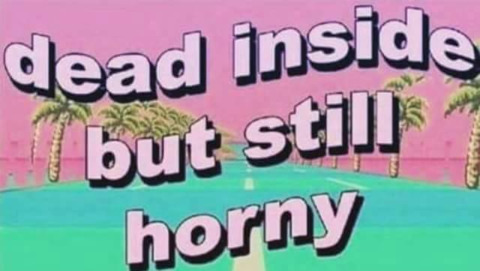 OnlyFans header picture sofisofi