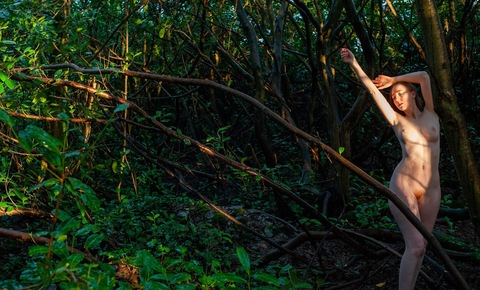 OnlyFans Titelbild somethingaboutolive