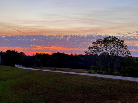 OnlyFans Titelbild sommer_bummer