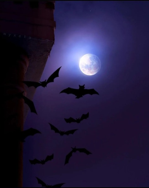 Obraz nagłówkowy OnlyFans #nazwa_użytkownika#