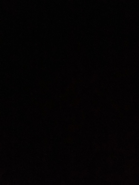 OnlyFans Titelbild steele.foster