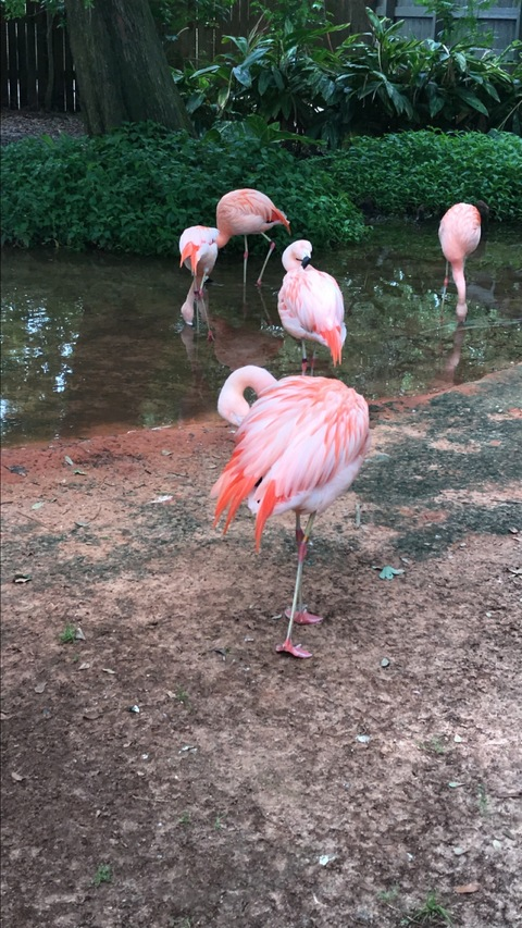 Снимка на заглавието на OnlyFans stephthestar