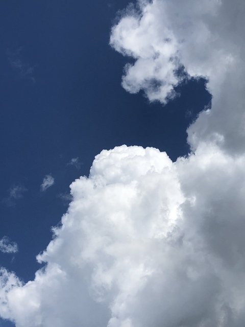 Снимка на заглавието на OnlyFans stormi