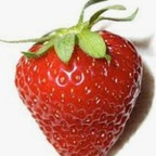 OnlyFans profile picture sugarlicia