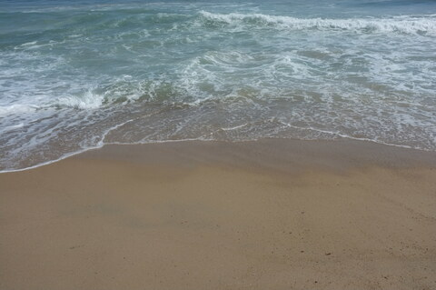 ओनलीफैंस हेडर चित्र sunnylibra