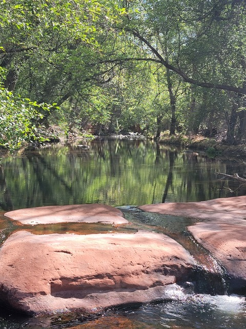 صورة رأس OnlyFans swedishmustangsally