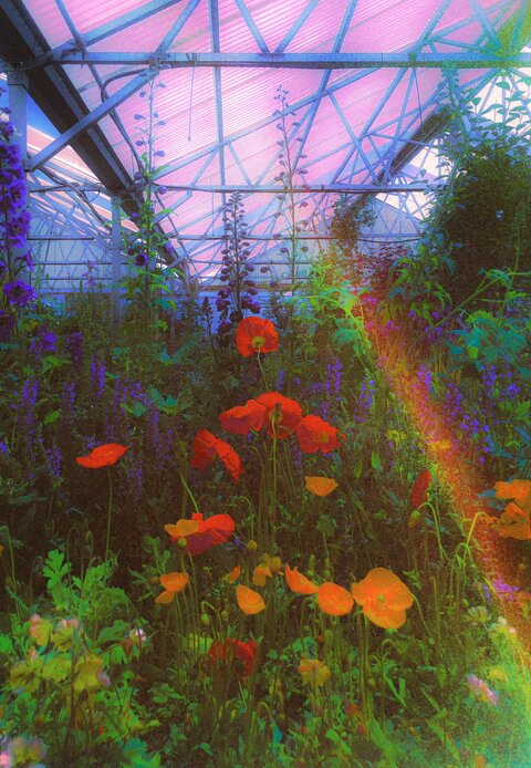 صورة رأس OnlyFans sweetmissmea