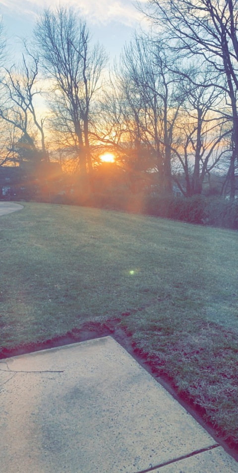 OnlyFans başlık resmi swildcatehigh1997