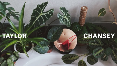 Imagen del encabezado de OnlyFans de t4ych4