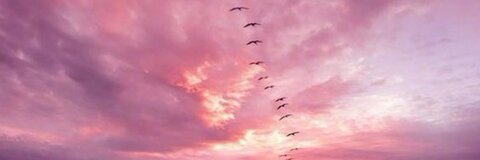 tabithalookofsky의 OnlyFans 해더 사진