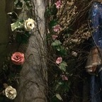 Imagen de perfil de OnlyFans de tammywynette