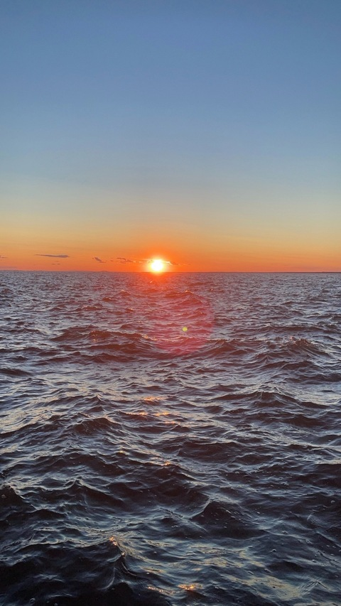 ओनलीफैंस हेडर चित्र tattedbkbttm_13