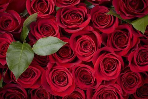 OnlyFans Titelbild tattedmami407