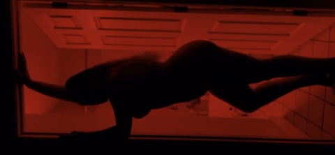 Снимка на заглавието на OnlyFans taylorbabe105