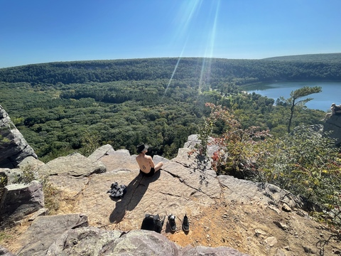 OnlyFans Titelbild thegroovylion