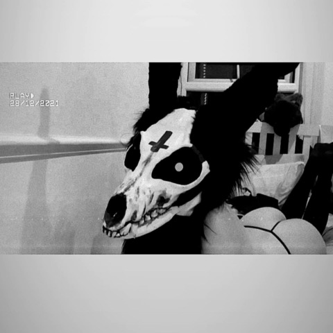 AlleenFans hoofdafbeelding thelewdbunny