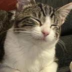 Photo de profil OnlyFans de theprincessb