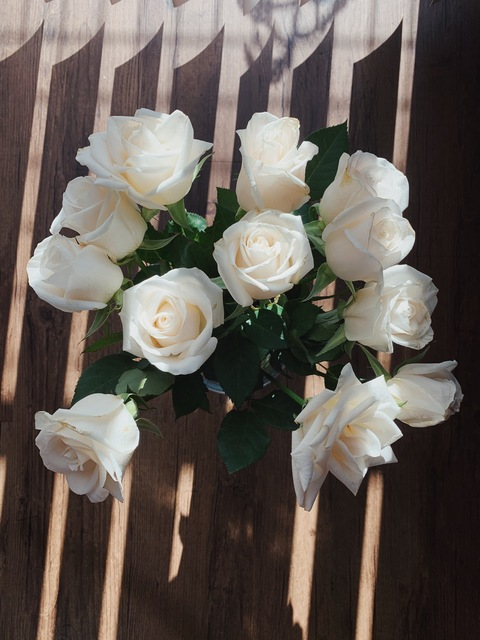 OnlyFansのヘッダー画像 theprincessb