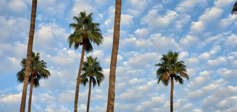 صورة رأس OnlyFans therykers