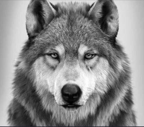 Image d'en-tête OnlyFans thetidland