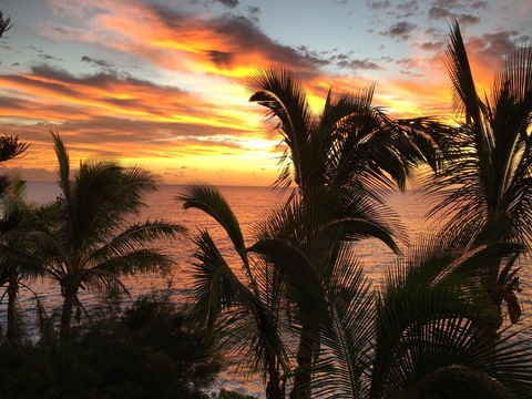 AlleenFans hoofdafbeelding thishappyhippie