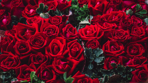 ओनलीफैंस हेडर चित्र thisiscaroline