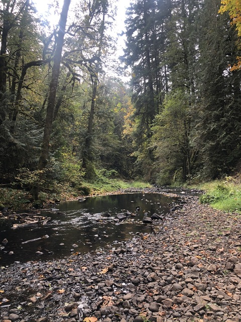 صورة رأس OnlyFans tirzahprincess