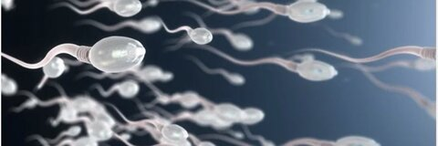 Image d'en-tête OnlyFans top_bbk_paris