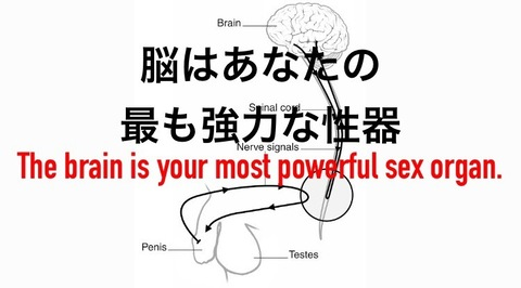 toshi011의 OnlyFans 해더 사진