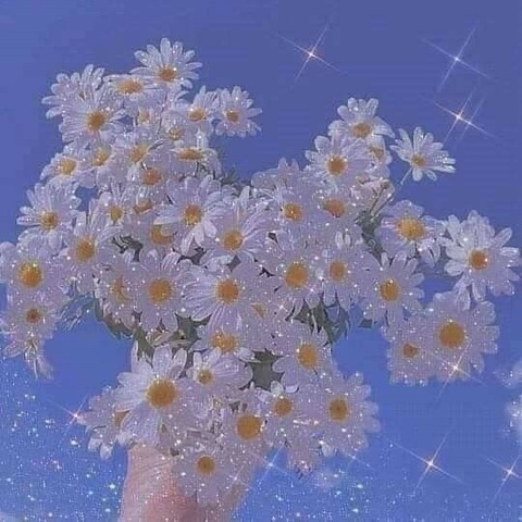 صورة رأس OnlyFans trxxpst