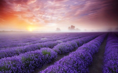 Снимка на заглавието на OnlyFans tsuminoumi