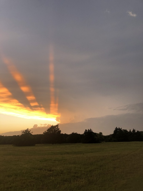 Снимка на заглавието на OnlyFans u14863515