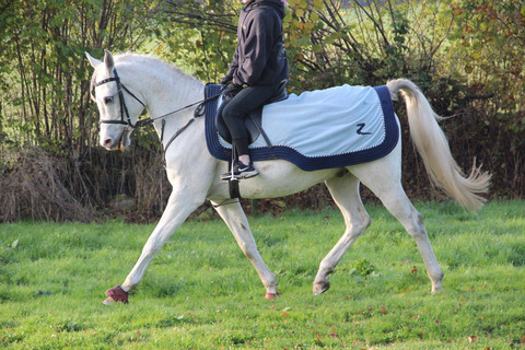 Imagem do cabeçalho do OnlyFans u164676892