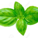 Photo de profil OnlyFans de u21349926