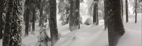 Снимка на заглавието на OnlyFans urfairyfaee