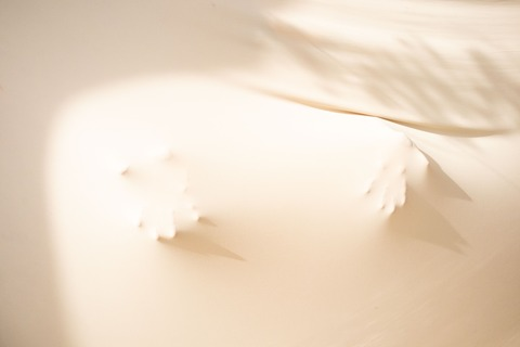 Imagen del encabezado de OnlyFans de usaguisamy