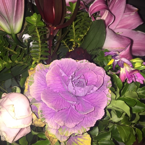 Снимка на заглавието на OnlyFans vampyveen