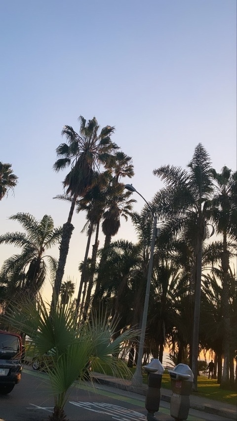 صورة رأس OnlyFans vanillabeanyaya