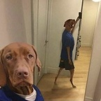 Zdjęcie profilowe OnlyFans vava974