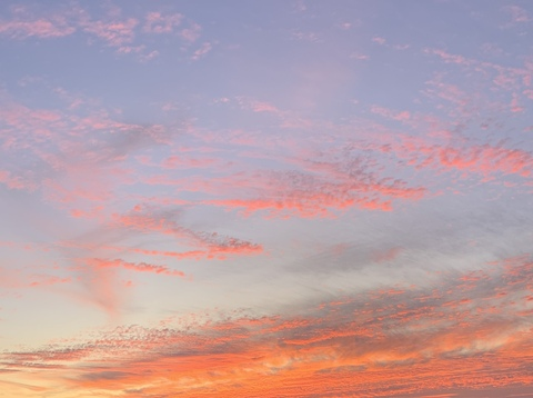 ओनलीफैंस हेडर चित्र victoriaxavier