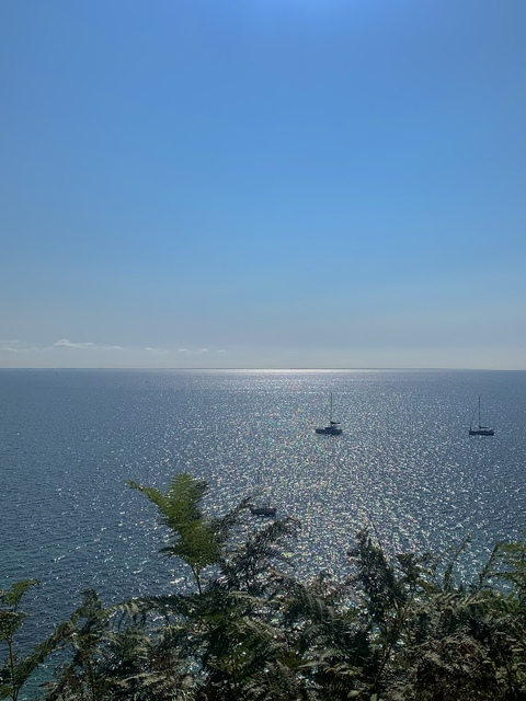 ओनलीफैंस हेडर चित्र vinsotanna