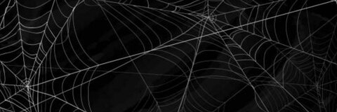 AlleenFans hoofdafbeelding violetreigncb