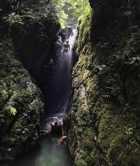 Снимка на заглавието на OnlyFans wavyyd