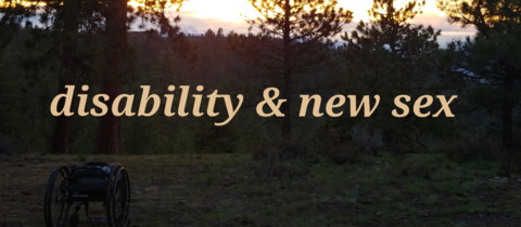 OnlyFans başlık resmi wheelchairvvulfie