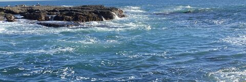 OnlyFans başlık resmi wildkat888